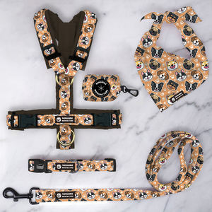 <span class=keywords><strong>Pet</strong></span> Boutique OEM/ODM regolabile gilet cane imbracatura senza tirare Perro guinzaglio e collare Set petto altri Set di imbracature per cani personalizzati - Product Image 1