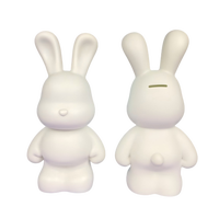 Kit DIY Ours Liquide Violent Lapin 23cm Blanc Surface Vierge pour Peinture Artistique