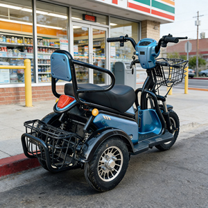 Triciclo Elettrico Holladay 500W, Scooter Elettrico a <span class=keywords><strong>3</strong></span> <span class=keywords><strong>Ruote</strong></span>, Controller a 12 Tubi, E-bike a 2 Posti per Adulti e Anziani, Autonomia 40km - Product Image 6