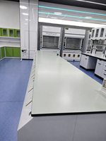 Banc d'Laboratoire Contemporain Entièrement en Acier SCEELAB Personnalisé pour Utilisation Commerciale dans les Ateliers, Hôpitaux et Écoles