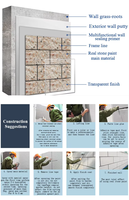 Peinture acrylique élastique flexible pour granit, couvrant les fissures, revêtement liquide extensible pour murs extérieurs et intérieurs, 100% à base d'eau
