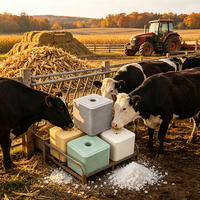 Chlorure de sodium à 99,9 %, granulés blancs, complément alimentaire pour bétail, sel pour bétail