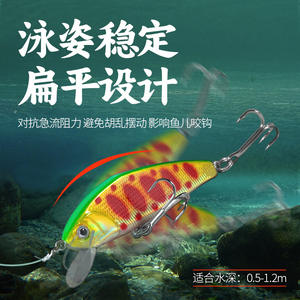 Leurre Ikeba Minnow CR12252 2 leurres de fond pour eau douce, matériel de pêche à coulée lente et longue portée, imprimé - Product Image 5