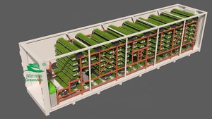 <span class=keywords><strong>Casa</strong></span> contenedor de riego automático de alto rendimiento para ensalada, lechuga, brote de soja, forraje, equipo hidropónico de cosecha apenas rápida - Product Image 3