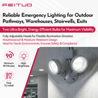 FEUTUO Lampe d'extérieur fiable à double télécommande, option LED ou incandescente, avec ABS ignifuge pour éclairage d'urgence