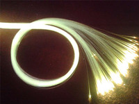 Longueur personnalisée 100 brins de câble à fibre optique de 0.75mm PMMA Bundles de fibre optique en plastique phosphorescent pour ciel étoilé