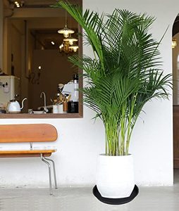 Platillo de plantas negro, maceta grande pesada, bandejas de plantas de plástico más gruesas duraderas para interiores y exteriores, bandejas de goteo para platillos de plantas - Product Image 6