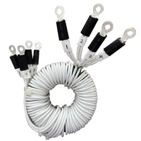 Transformateur toroïdal 30VA 80VA 100VA 100% cuivre pour amplificateurs audio 5V certifié ISO9001 CE, prix compétitif en Chine