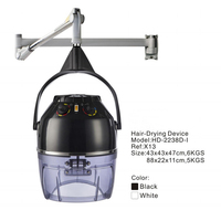 Sèche-cheveux et steamer numérique portable entièrement automatique FYD avec traitement capillaire pour salon et usage domestique