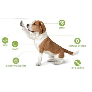 Dierlijke Vloeibare Vitamine Voedingssupplement 15 In 1 Multivitamine Druppels Voor De Gezondheid Van Huid, Vacht En Hart Bij Katten - Product Image 3