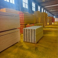 Poutres Doka H20 en bois, style moderne, panneaux de coffrage pour colonnes, murs et dalles – Vente chaude directement de l'usine chinoise