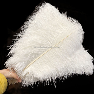 Vente en gros de <span class=keywords><strong>plumes</strong></span> <span class=keywords><strong>d</strong></span>'<span class=keywords><strong>autruche</strong></span> blanches de 55 à <span class=keywords><strong>60</strong></span> <span class=keywords><strong>cm</strong></span> pour les costumes de carnaval <span class=keywords><strong>d</strong></span>écoration de fête de mariage Plumas - Product Image 2