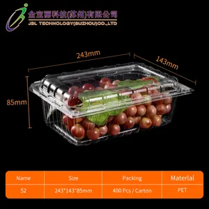 Récipient alimentaire transparent personnalisé pour animaux de compagnie, boîte d'emballage en plastique à clapet pour fruits et légumes pour raisin litchi cerise