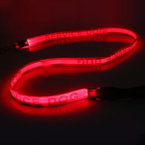 Usine USB Type C Rechargeable LED Chien Laisse Lumière Rougeoyante Trois Modes <span class=keywords><strong>Flash</strong></span> Nylon Clignotant Chien Laisse pour Rubans Personnalisés - Product Image 3