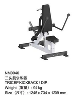 Machine de musculation commerciale en acier inoxydable pour triceps (kickback-dip) pour la musculation
