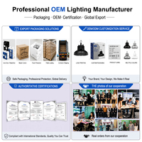Usine d'ampoules LED de Zhongshan, E27 B22 5W-80W, Matières premières, Pièces SKD, Ampoules décoratives personnalisées, Échantillon gratuit, Vente en gros