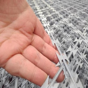 <span class=keywords><strong>Filo</strong></span> <span class=keywords><strong>spinato</strong></span> <span class=keywords><strong>filo</strong></span> <span class=keywords><strong>spinato</strong></span> nastro teso <span class=keywords><strong>filo</strong></span> <span class=keywords><strong>spinato</strong></span> 500 metro <span class=keywords><strong>filo</strong></span> <span class=keywords><strong>spinato</strong></span> - Product Image 2