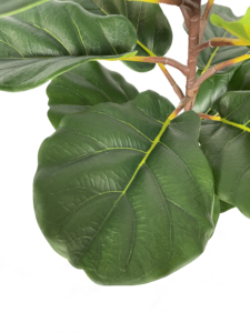 Vente chaude petit pas cher <span class=keywords><strong>prix</strong></span> artificielle leaf fiddle figuier pour les décorations d'intérieur - Product Image 4