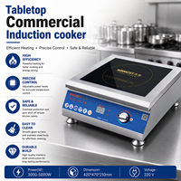 Table de cuisson électrique à induction professionnelle 3500W haute puissance 1 brûleur faible consommation haute efficacité pour cuisine