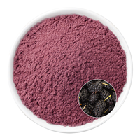 Poudre de mûrier microencapsulée-Résistant à l'oxydation pour des mélanges de smoothies stables