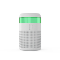 Véritable filtre à air multifonction HEPA personnalisé purificateur d'air aux huiles essentielles d'aromathérapie