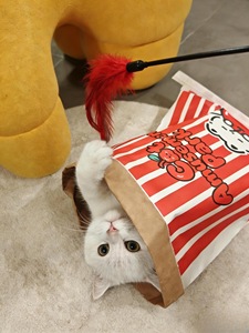 Túnel de Papel Plegable para Gatos, Juguete de Entretenimiento para Gatos, Juego para Gatos - Product Image 2