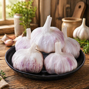 Pasta de Ajo Fresca y Condimentada Marca JUFU, 5.0cm, 20kg, Refrigerada, de Shandong Henan Jin <span class=keywords><strong>Xiang</strong></span>, para Cocinar (Oferta) - Product Image 1