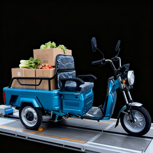 Venta al por mayor <span class=keywords><strong>de</strong></span> motocicletas eléctricas personalizadas <span class=keywords><strong>para</strong></span> adultos, motocicletas <span class=keywords><strong>de</strong></span> <span class=keywords><strong>carga</strong></span> eléctricas <span class=keywords><strong>de</strong></span> 650W, triciclos taxi, camionetas eléctricas <span class=keywords><strong>de</strong></span> plataforma plana - Product Image 6