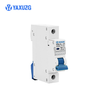 Disjoncteur miniature direct usine 6kA MCB 1A-63A Courbe C Application industrielle Personnalisable Rail DIN Cuivre Plastique OEM