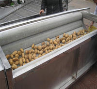 Machine de traitement du garri de petite taille 600 mm, rouleau brosse, machine à laver les ignames, le manioc, les patates douces, les légumes et les fruits