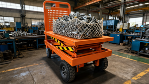 Heavy Duty Electric Lifting <strong>Trolley</strong> with Home Lift System for Electric Hydraulic Lift <strong>Trolley</strong> <strong>Small</strong> Elevator Applications - Product Image 6