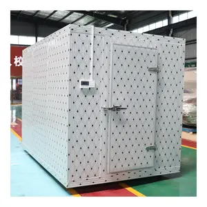 Contenitore di 40 piedi di stoccaggio a freddo 5 Hp unità di condensazione contenitori refrigerati congelatore cella frigorifera
