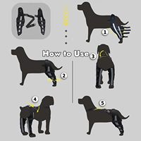 Attelle de genou de jambe arrière de chien réfléchissante pour chiens, jambes postérieures déchirées d'ACL récupèrent le protecteur d'enveloppe de joint de blessure de soutien de chien