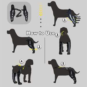 कुत्तों के लिए पीठ पैर घुटने के घुटने के ब्रश, फटे हुए एसीएल हिंड पैर ठीक करते हैं कुत्ते का समर्थन चोट संयुक्त रैप रक्षक - Product Image 5