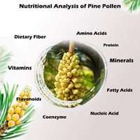 Extrait de pollen de pin sauvage de qualité alimentaire en vrac, extrait végétal, emballage en fût