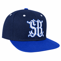 Casquettes personnalisables à 6 panneaux, casquette snapback à visière plate, broderie 3D, casquettes de baseball, hip hop, unisexe, vente en gros, OEM