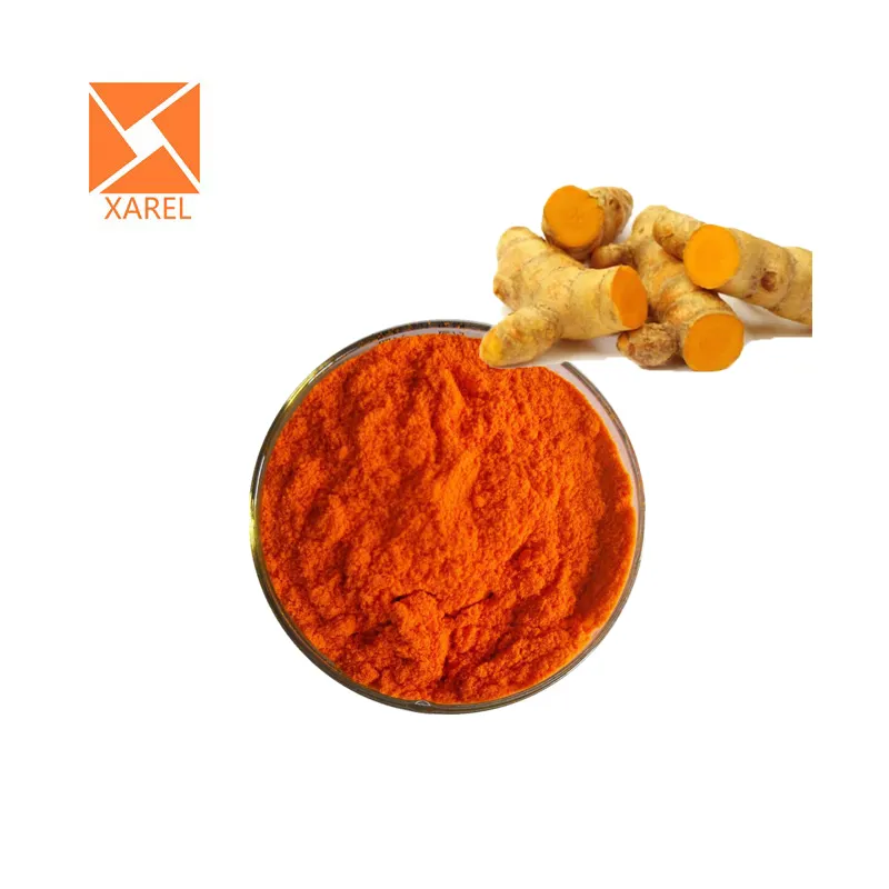 Biologisch Kurkuma Poeder Curcuma Longa Wortelextract Curcumine Poeder