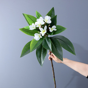 Fleurs artificielles en latex au toucher réel, Plumeria Frangipani, Plumeria <span class=keywords><strong>Rubra</strong></span>, fleurs tropicales, 92 cm, Pâques, remise de diplôme, fête des pères - Product Image 2