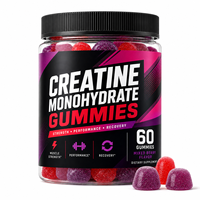 Premium Creatine Gummies met Hoge Potentie 5000mg voor Volwassenen, ter Ondersteuning van Kracht en Uithoudingsvermogen, Niet-GMO, op Pectinebasis, Groothandel