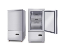 Congélateur à choc commercial de petite taille -45°C ° Armoire de congélation rapide pour la conservation des aliments surgelés et des boulettes de fruits de mer