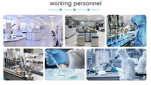 Pílulas Nutricionais Alpha Brian Personalizadas OEM em Promoção, Suplemento para Aumentar o Foco e a Boa Memória - Product Image 5