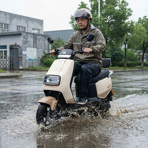 Прямые поставки с завода: Электрический кроссовый мотоцикл SHENGGE Z6, 500 Вт, 60-72 В, 40-50 км/ч, 10-дюймовые шины, для взрослых - Product Image 6