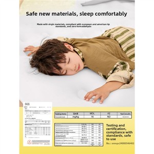 Matelas <span class=keywords><strong>Gonflable</strong></span> Personnalisé avec Pompe Intégrée, Pliable, Moderne, pour Chambre, Salon, Hôtel, Extérieur, Parc, Camping - Product Image 3