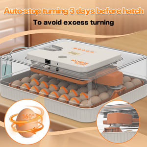 <span class=keywords><strong>Incubatrice</strong></span> per <span class=keywords><strong>uova</strong></span> HHD WONEGG a doppia alimentazione, 56 <span class=keywords><strong>uova</strong></span>, <span class=keywords><strong>incubatrice</strong></span> per <span class=keywords><strong>uova</strong></span> di <span class=keywords><strong>tacchino</strong></span>, attrezzatura per allevamento di polli, <span class=keywords><strong>incubatrice</strong></span> per <span class=keywords><strong>uova</strong></span> - Product Image 4