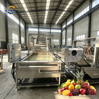 Continue transportband fruitbellenwasmachine, eenvoudige bediening, sinaasappelreinigingsapparatuur voor middelgrote fruitverwerkingsbedrijven