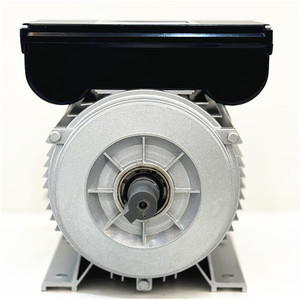 Moteur électrique asynchrone à induction monophasé de haute qualité série YC/YL 1HP 1.5HP - Product Image 2