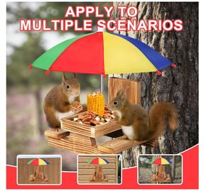 Mangeoire d'écureuil en bois personnalisée avec parapluie <span class=keywords><strong>pour</strong></span> l'extérieur mangeoire de table de pique-nique d'écureuil Chipmunk Hold corn cob peanuts - Product Image 3