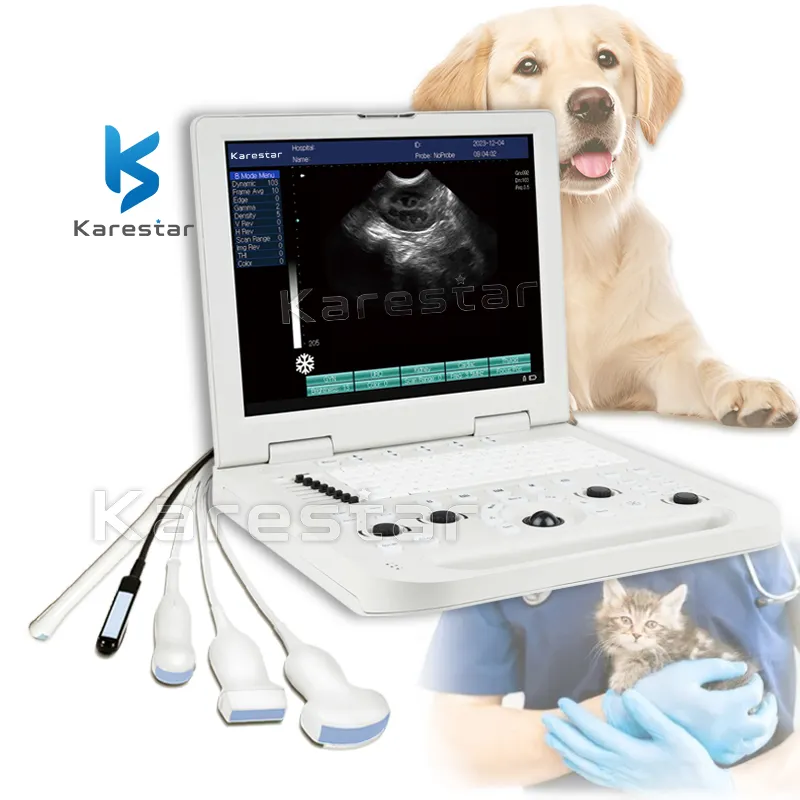 K-H301 Goedkope Usg Draagbare B/W Echografie Honden Katten Schapen Paard Echografie Veterinair