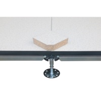 Panneau de panneautage antistatique de haute qualité pour les centres de données et les salles blanches, couche galvanisée de 0,4 mm