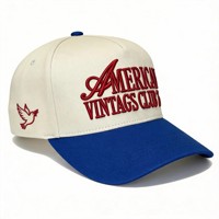 Topi Baseball 6 Panel Twill Bordir 3D Custom Pabrik, Katun Murni, Warna Blok, Huruf Vintage, Dot, Logo Klub Tim Custom